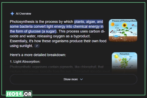 AI Overviews 17 Informational Queries