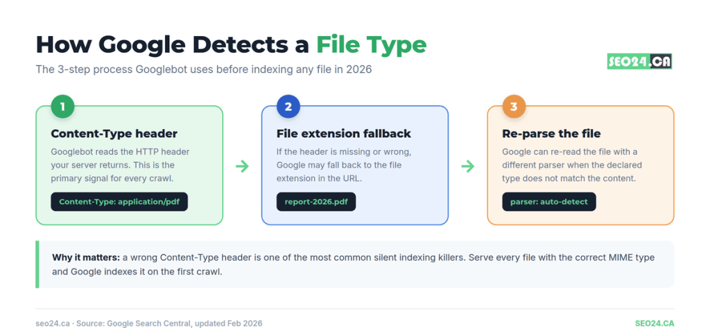 Google indexable file types How Google detect file type
